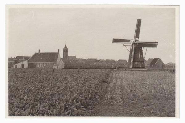 Molen 3