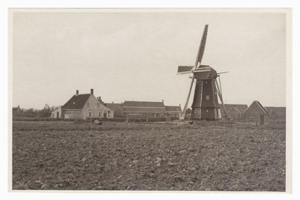 Molen 4